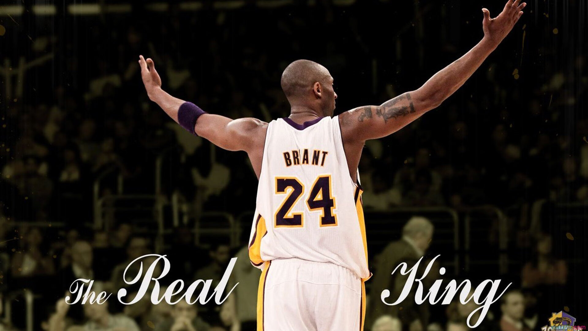 极速与热血,F1街道赛焦点战,广厦队一波带走奇才